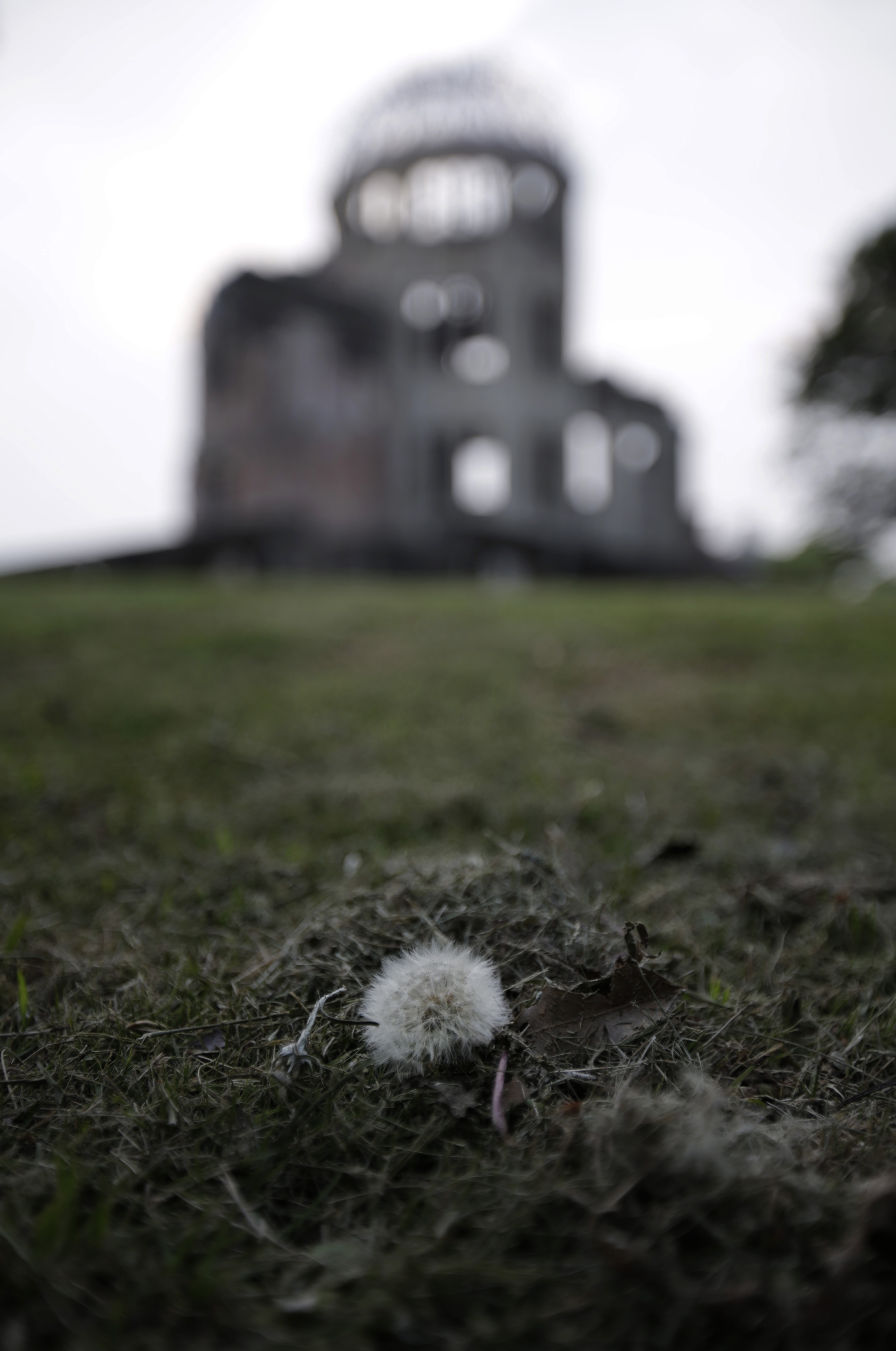 La utilidad de lo inútil